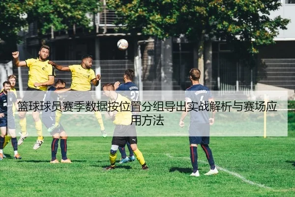 篮球球员赛季数据按位置分组导出实战解析与赛场应用方法